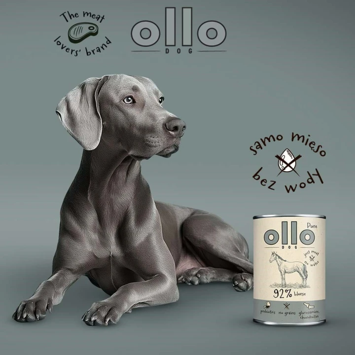 993597abfbadc295eec0891ffe1f5c75