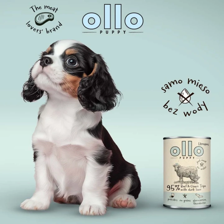 626fd467dc89a010c6fbd49a2f653b34