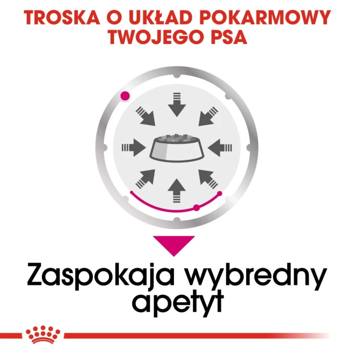 92937a44a7c6ffedc3091a41c4a5e94c