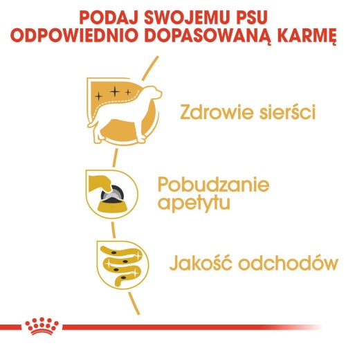 b8df7ecae53e43abe8e3c6a9cc455305