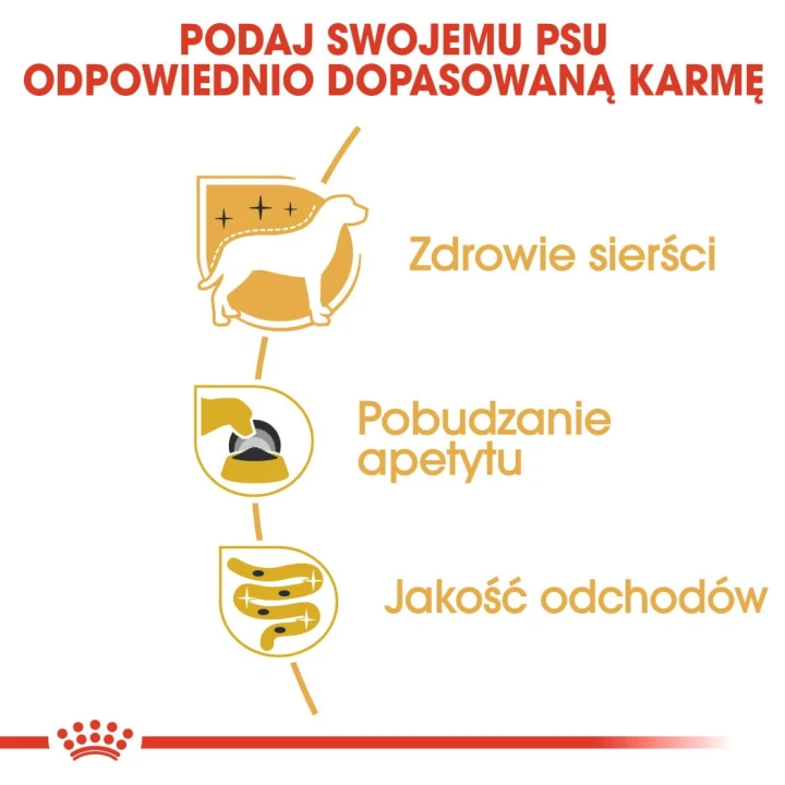 b8df7ecae53e43abe8e3c6a9cc455305