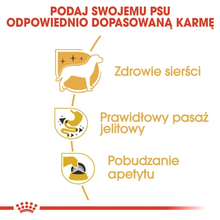 b29f20fe7a0b4fe5dc705450fbcb62a0