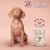 96ca96a6d692820a43930e4df6dcc20a
