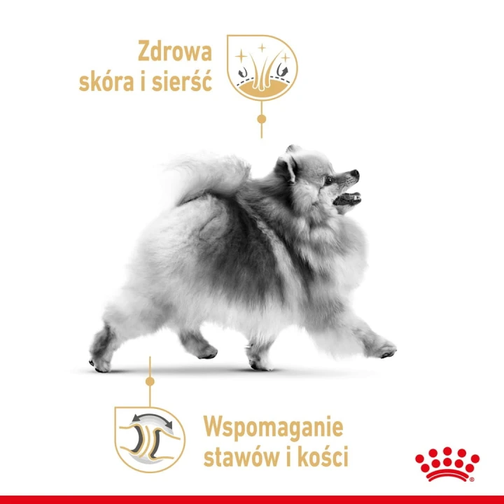 e7a75aae2bc2531f33abf95cbd66787d