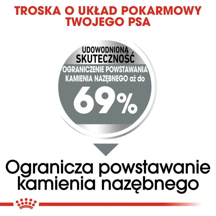 ce7be8900f7dd1c83a43876eb6ce19f6