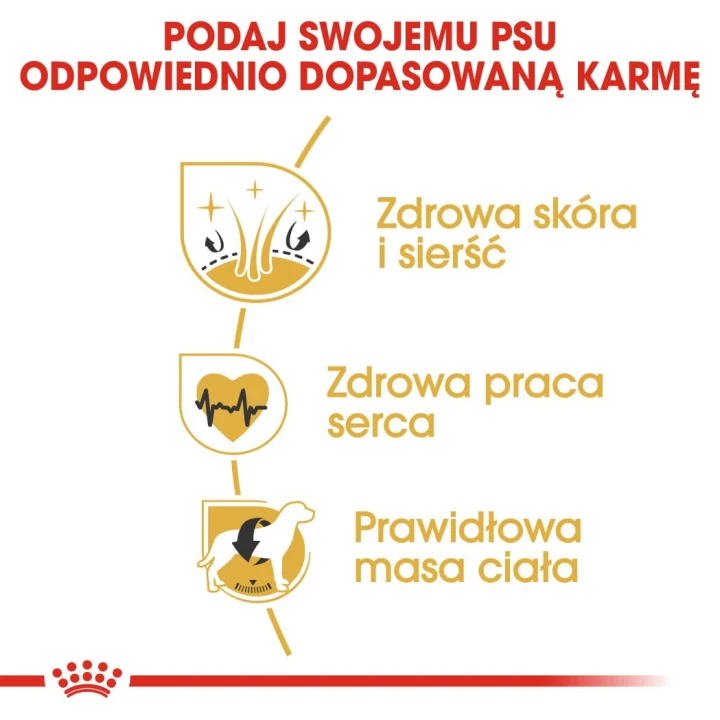 a9475cf194c0c7dd6351cc64077d80fe