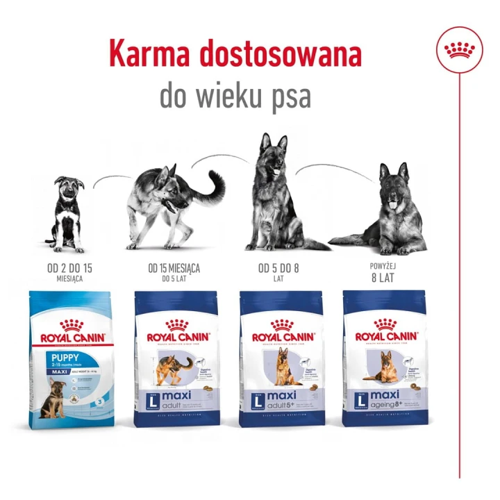 94300e0374a3d50c9af575a992b367e8