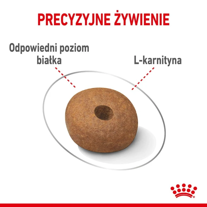 c82e0e0eb4048e222ba9834c5a342407