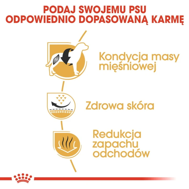a971505626d310ac0a8a49ef44c117bd