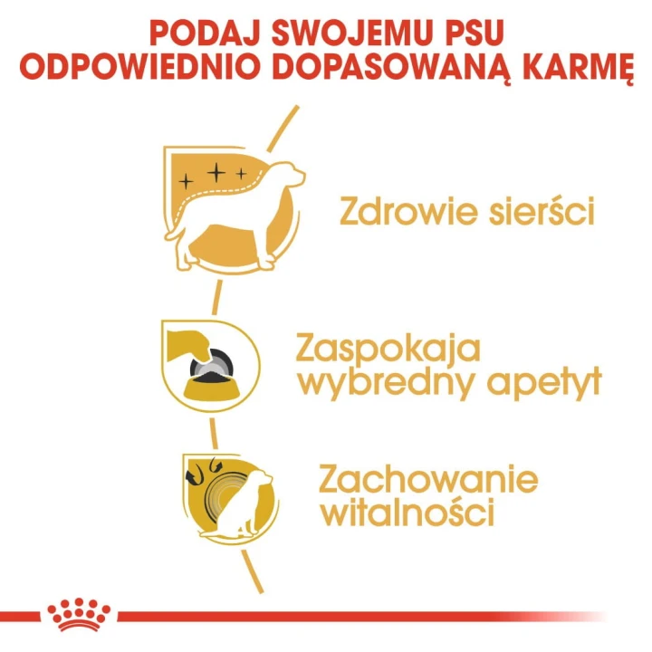 0bf0f2cb7e5be1bdc85a04c672484e3f