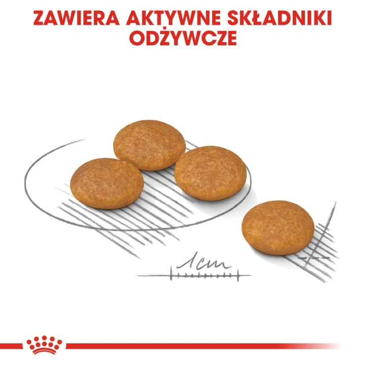 c6421c8b2351be8e3ee4470ed2ff6d88