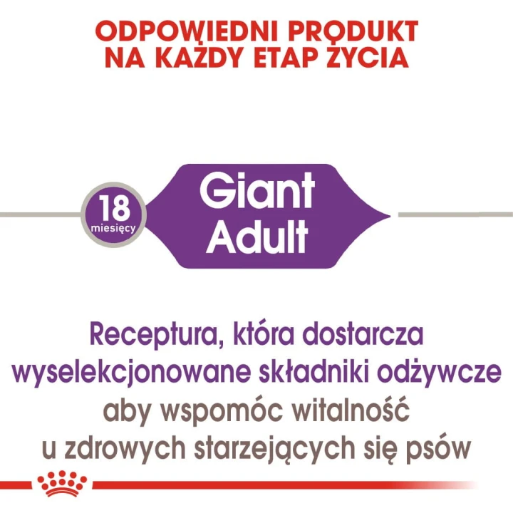 9a0a40c2bae24308dca3813de684303f
