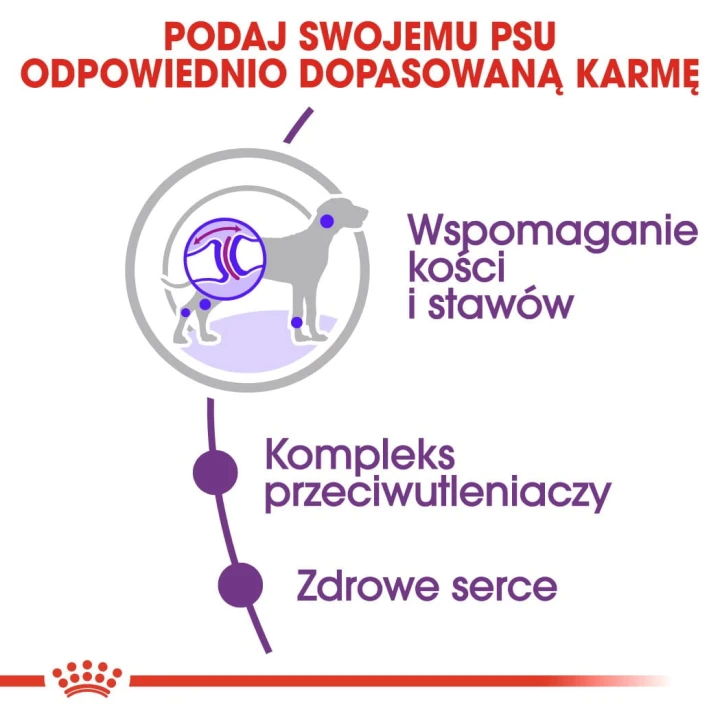 c28a63ff0b4944ca1c3b60f594c4e05e