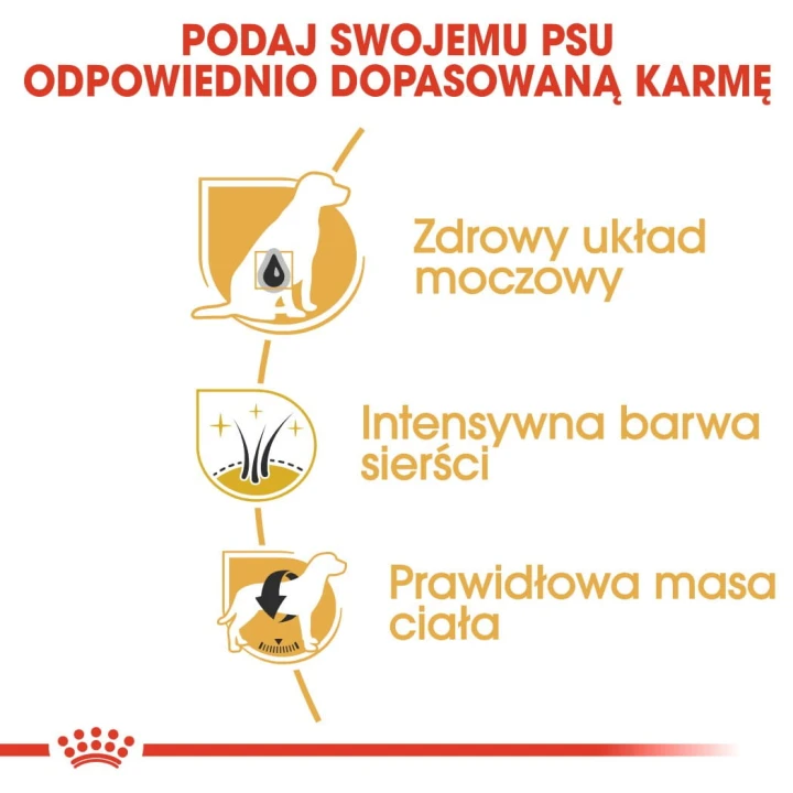 5088941ef2b9b184e52d0f18a7f0d231