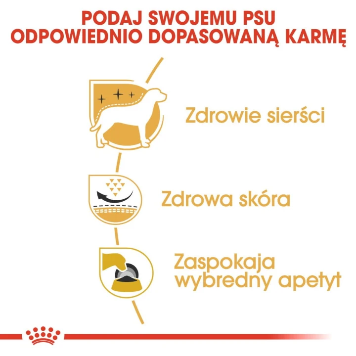 48ec01a8f74450a35bab4b06a3ff05d5