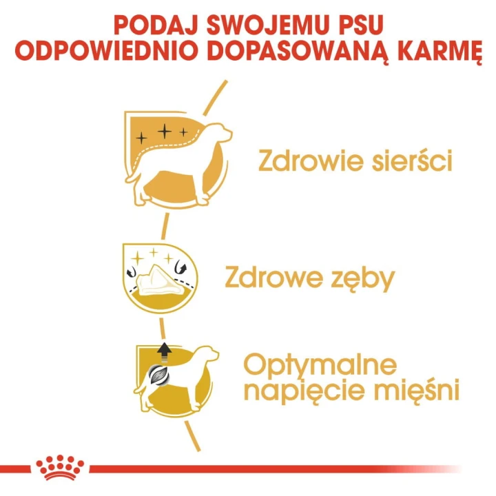 9828d66ce7759363ab02f3086ad30631